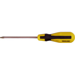 Wkrętak Torx SECURITY T20x100  Proline