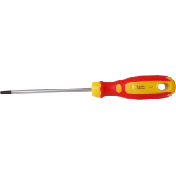 Wkrętak Torx T20x100