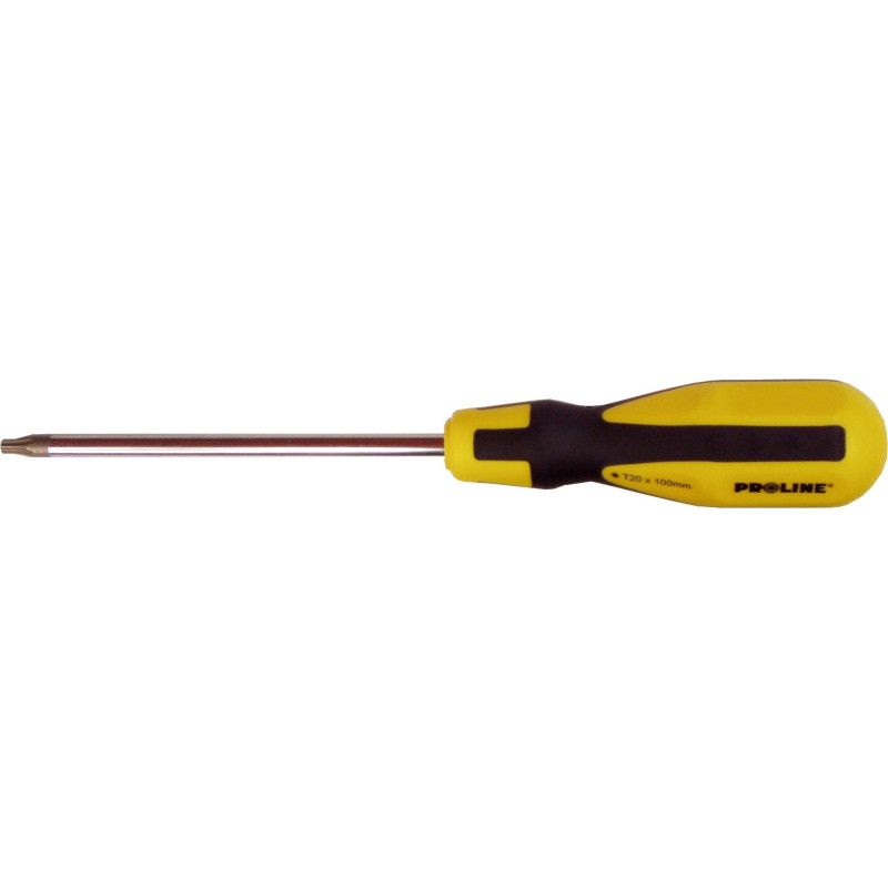 Wkrętak Torx SECURITY T20x100  Proline